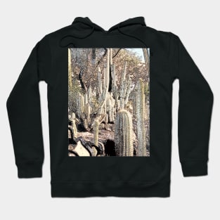 cactus Hoodie